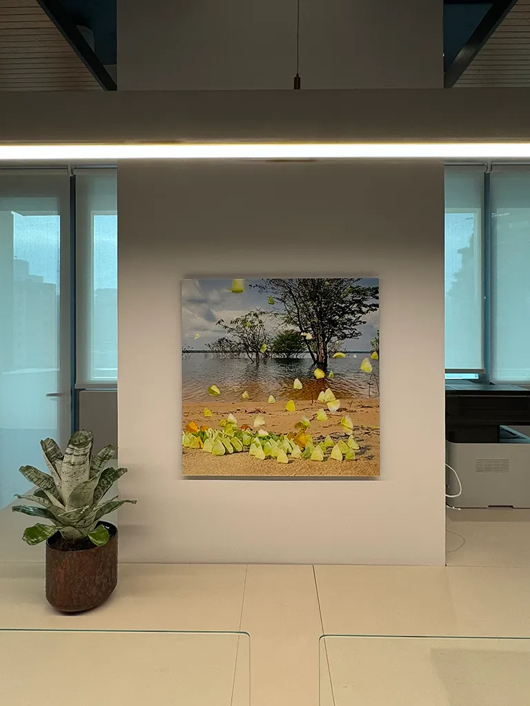 obra de Adriano Gambarini