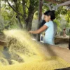 Cultura e Povos tradicionais