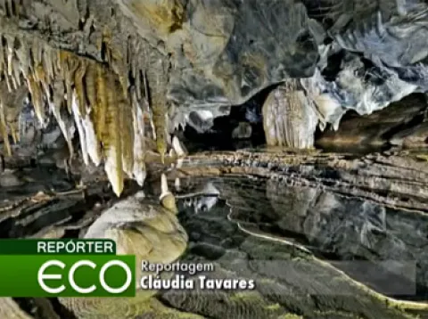 Programa Fiscais da Natureza