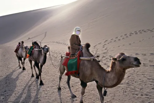 Fotografias do mundo