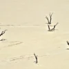 Paisagens