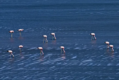 Fotografias de Paisagens